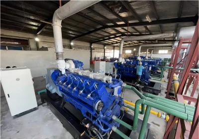 Starch plant biogas generator set1 Starch plant biogas generator set1